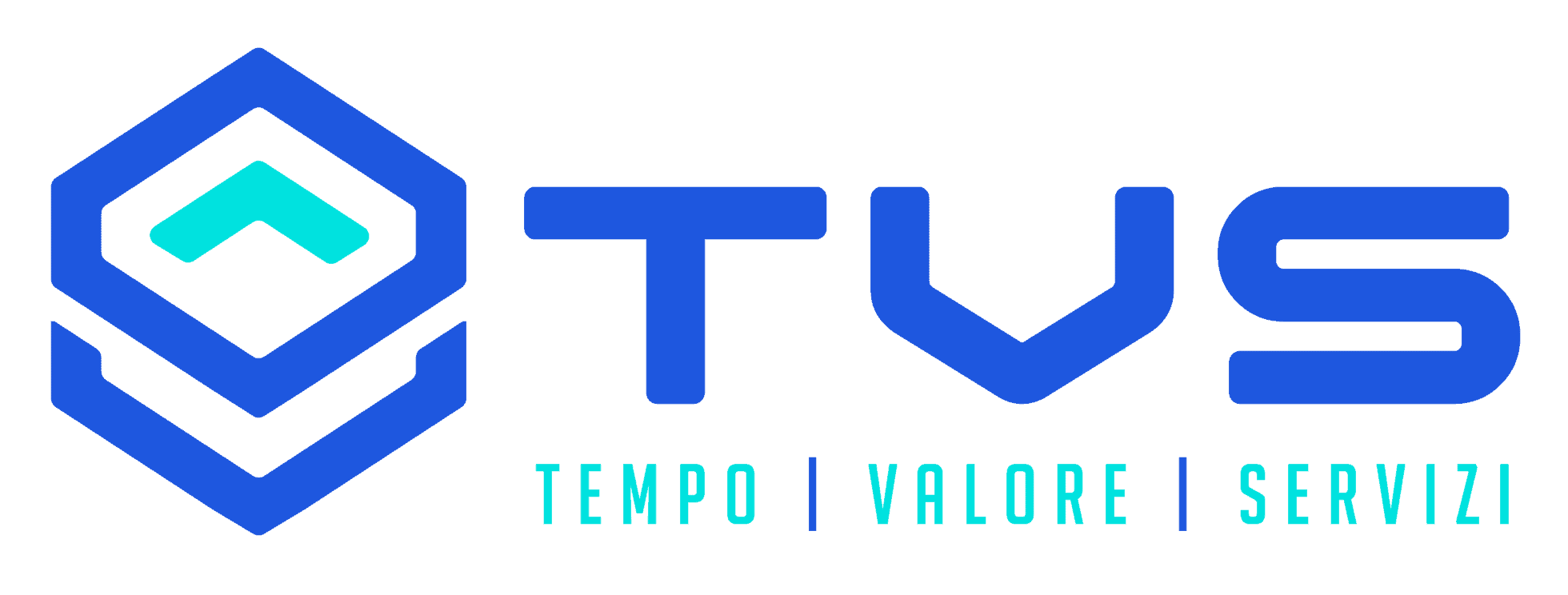 Logo Partner 1